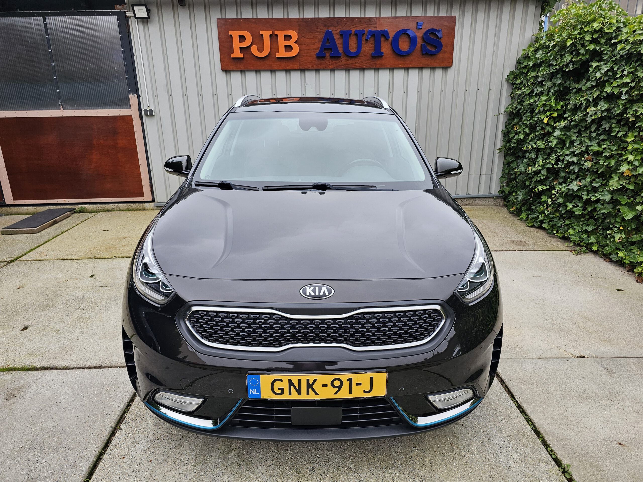 
Kia Niro full									